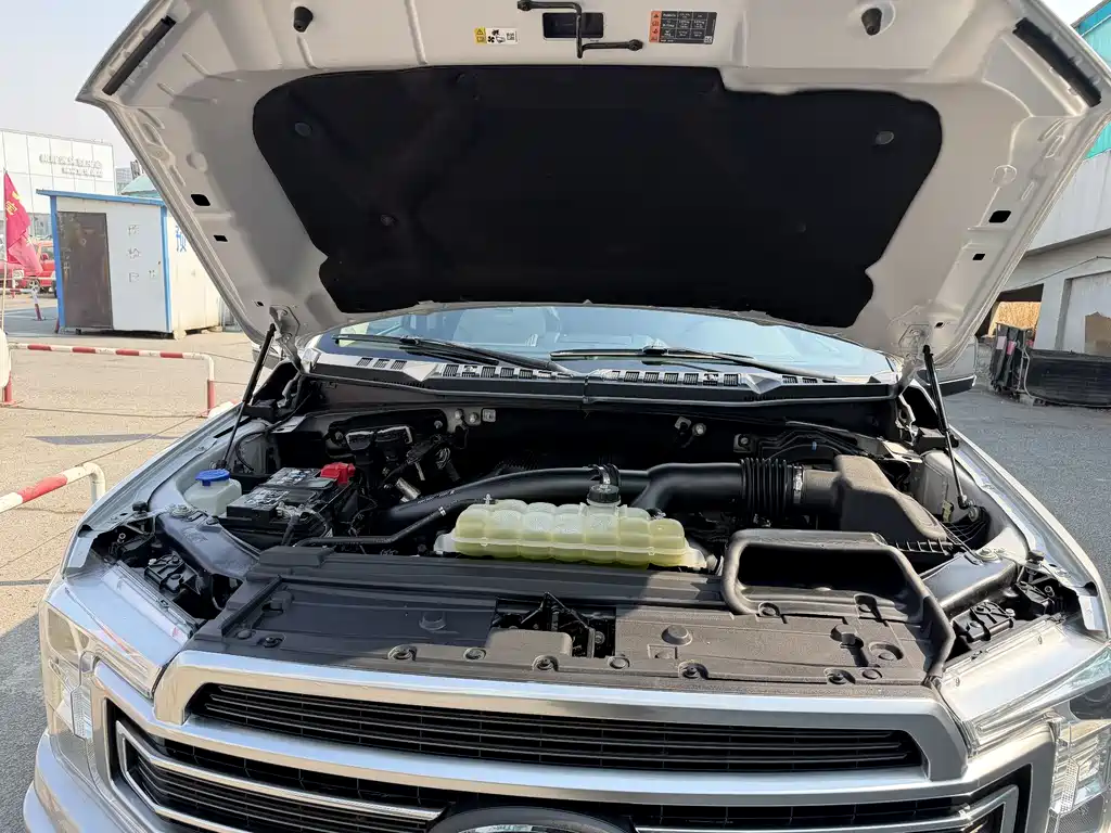 Ford F-150 Raptor 2020 — фото 16