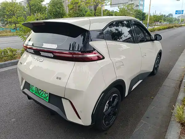 BYD Seagull 2024