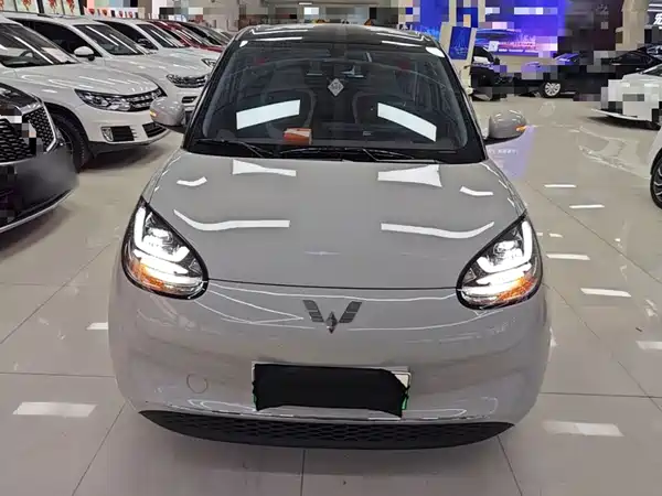 Wuling Bingo 2024