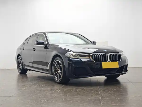 BMW 5 Series New Energy 2021