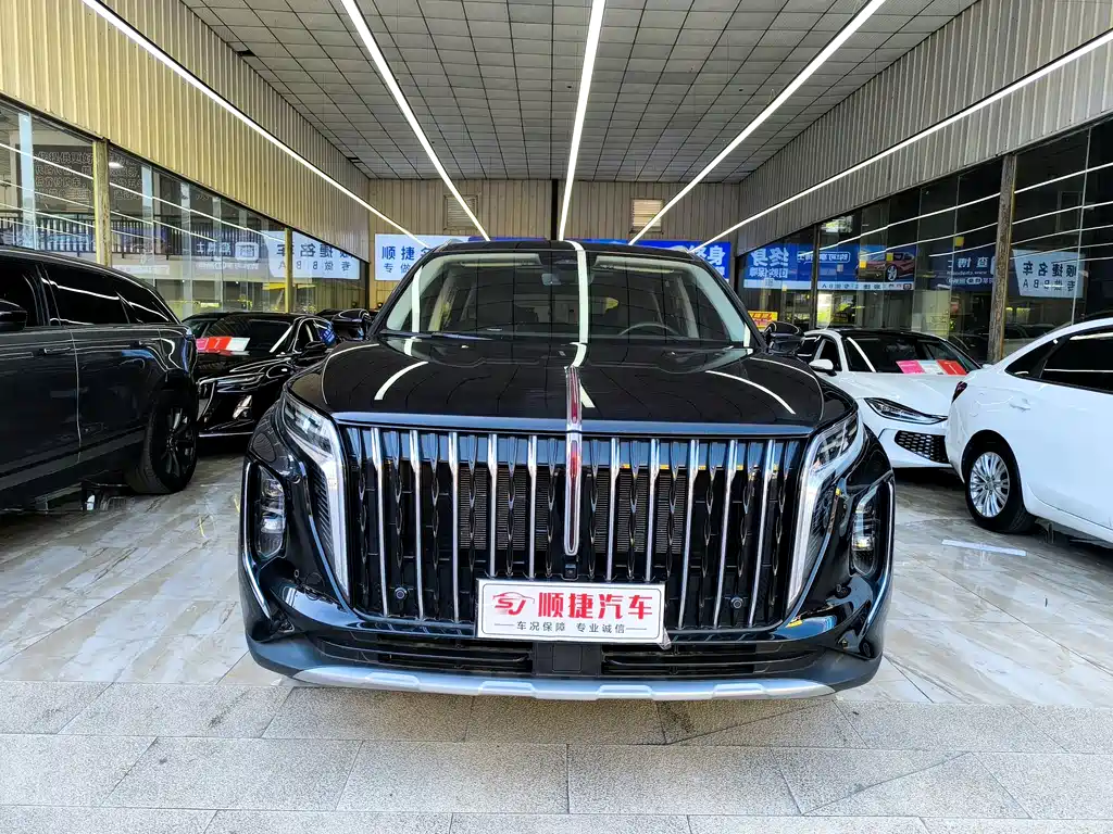 Hongqi HS7 PHEV 2024 — фото 2