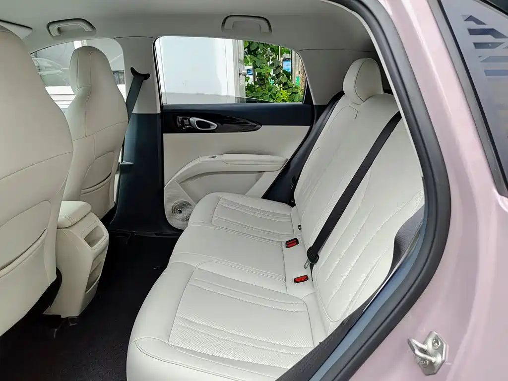 Geely Galaxy Starwish 2025 — фото 8