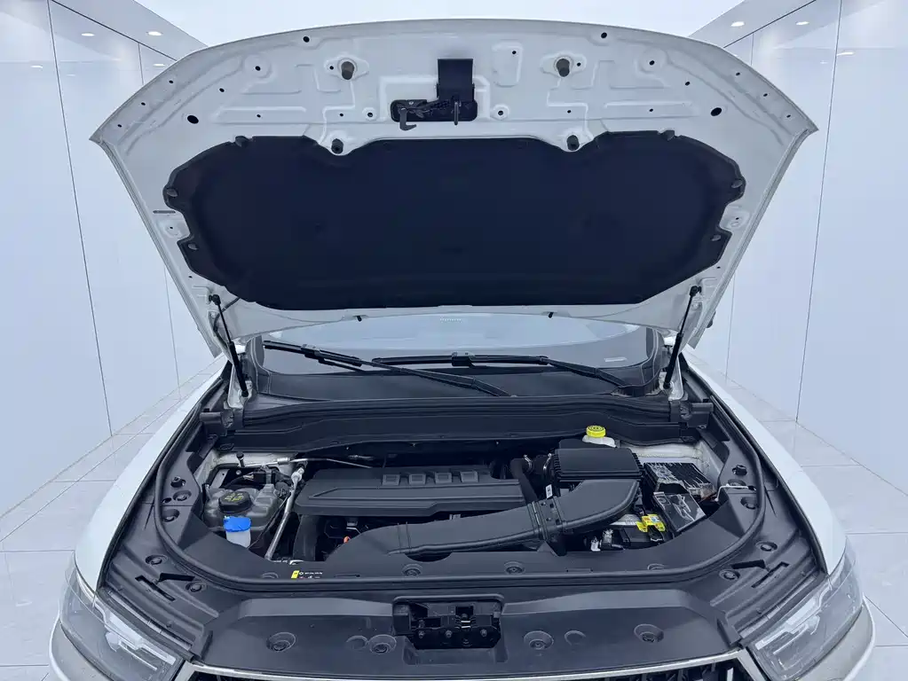 Haval H6 2023 — фото 16