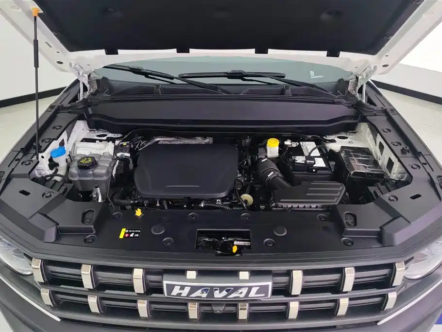 Haval Cool Dog 2023 — фото 10
