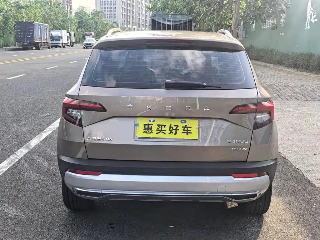 Skoda Karoq 2020 — фото 13