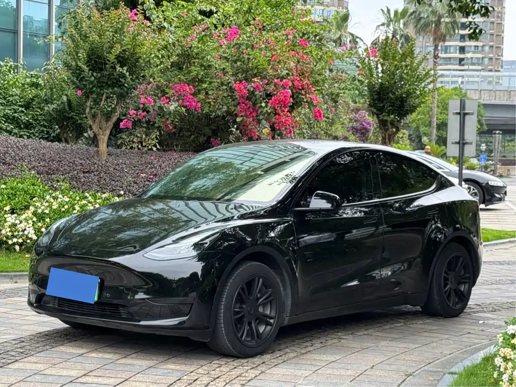 Tesla Model Y 2023 — фото 2