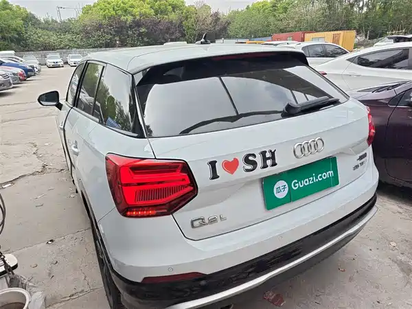Audi Q2L 2020