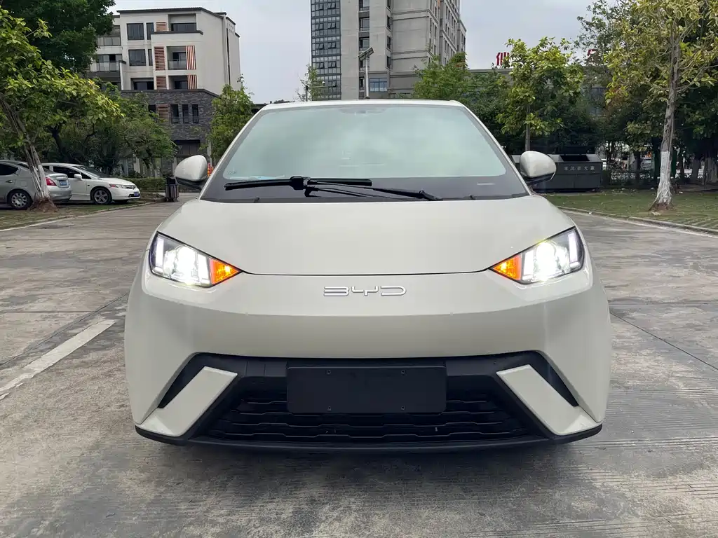 BYD Seagull 2024