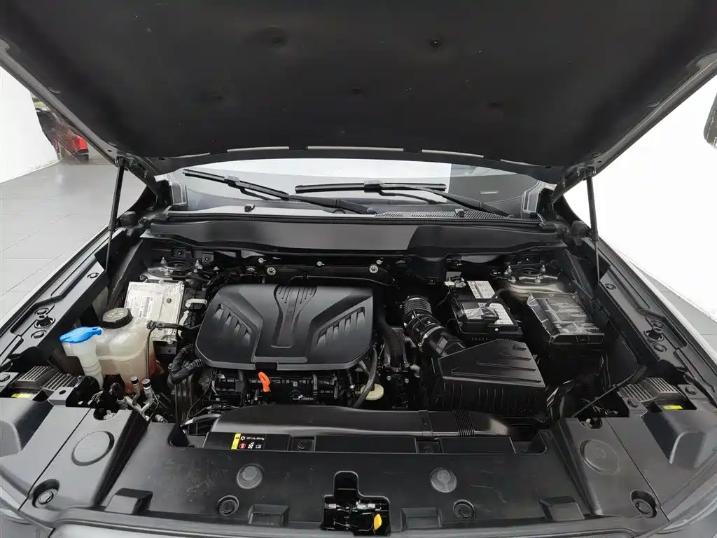 Haval Big Dog 2022