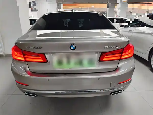 BMW 5 Series New Energy 2020