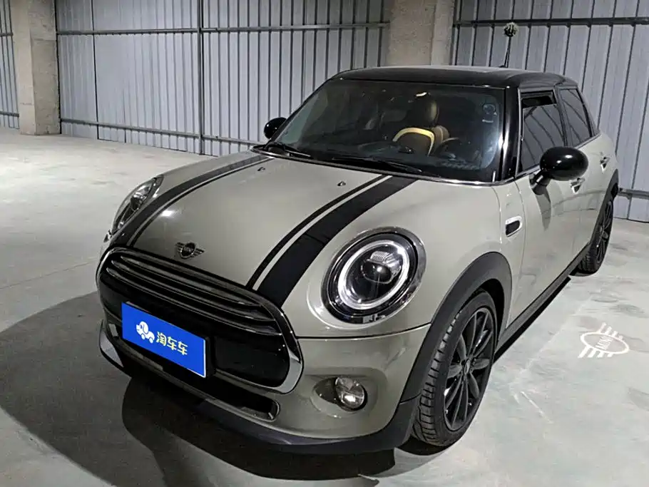 MINI MINI 2019