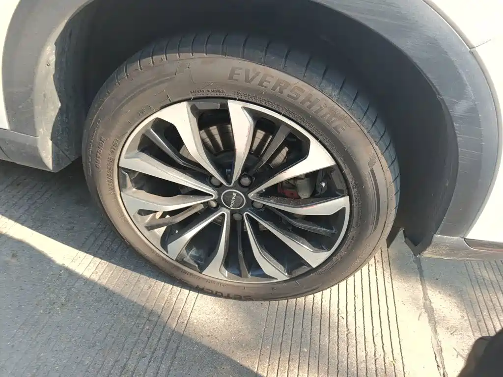 Roewe RX5 MAX 2021 — фото 18