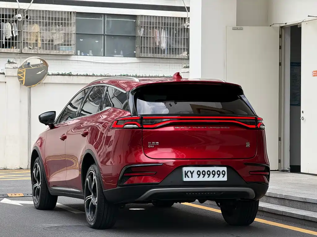 BYD Tang New Energy 2021 — фото 5
