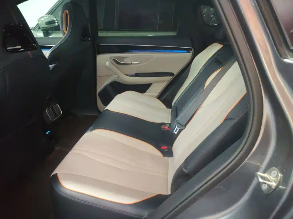 BYD Song PLUS New Energy 2023 — фото 13