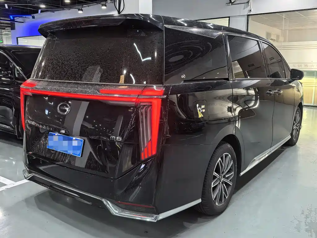GAC Motor Trumpchi M8 2024 — фото 21