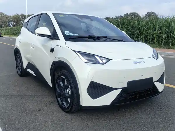 BYD Seagull 2025