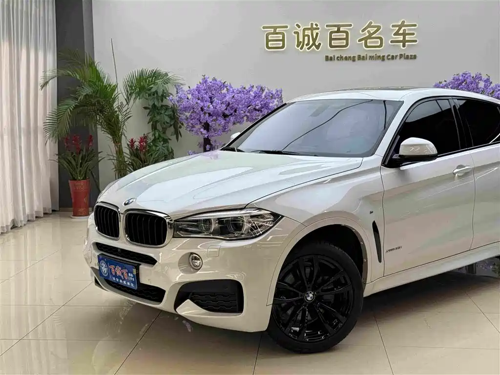 BMW X6 2019 — фото 3