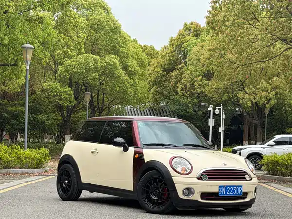 MINI 2010