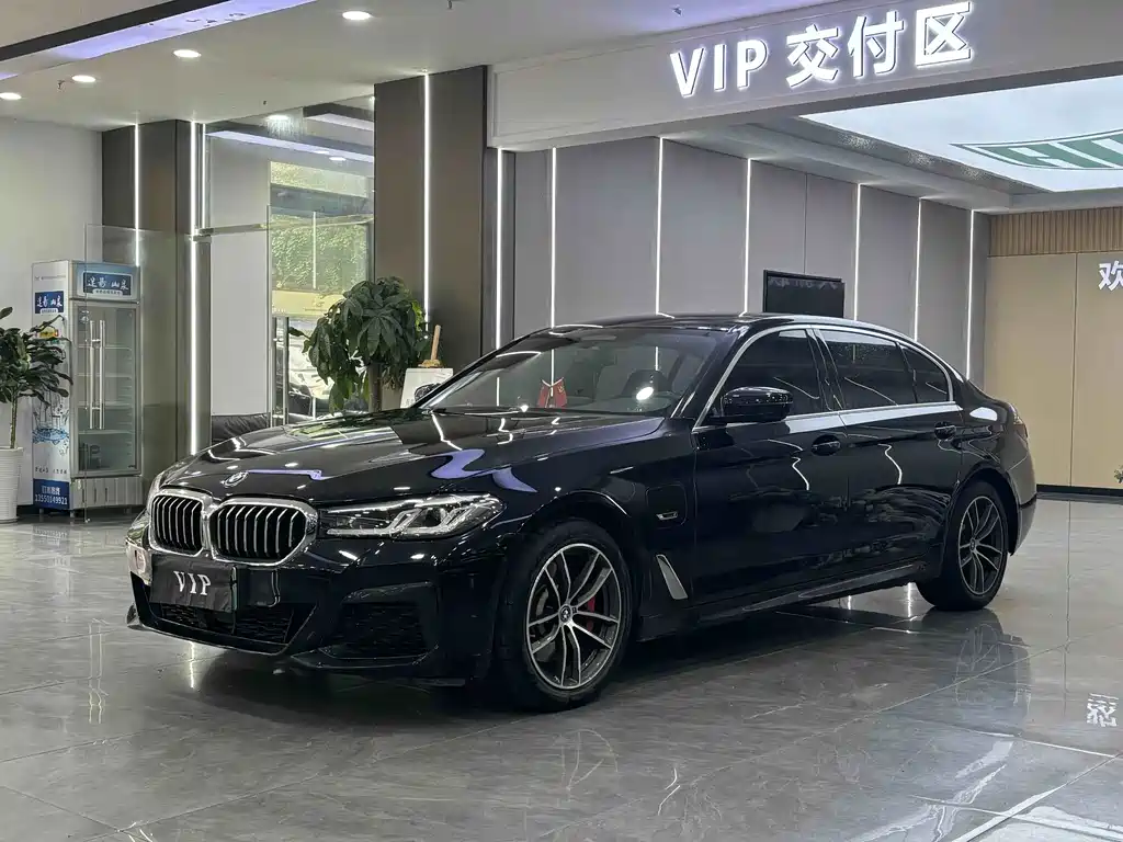 BMW 5 Series New Energy 2022