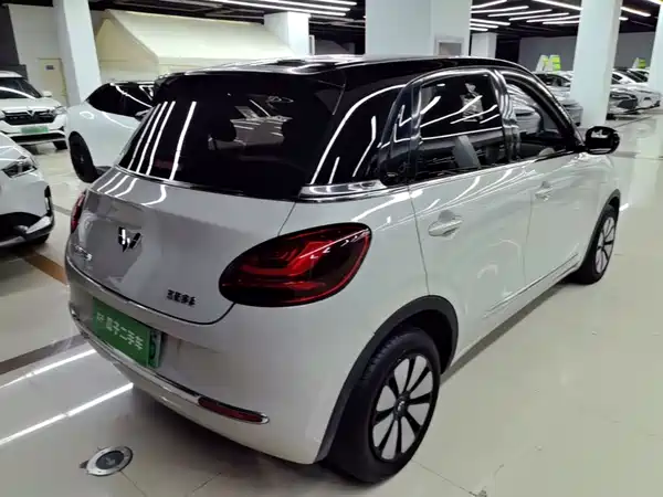 Wuling Bingo 2024