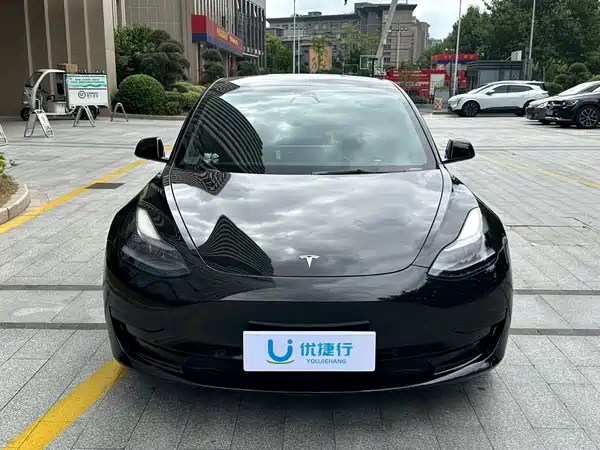 Tesla Model 3 2021