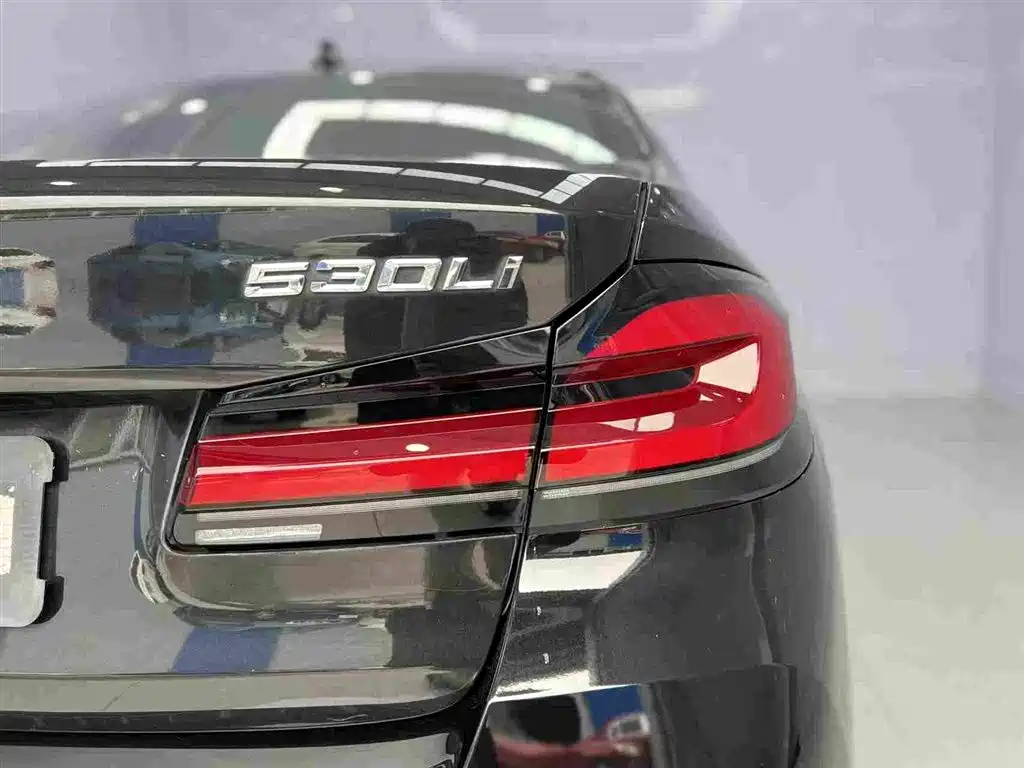 BMW 5 Series 2019 — фото 17