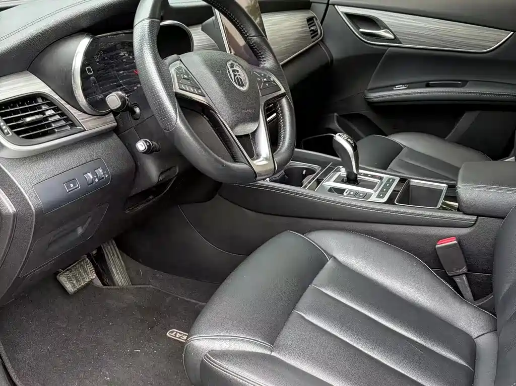 BYD Song MAX New Energy 2019 — фото 6
