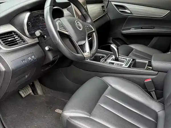 BYD Song MAX New Energy 2019
