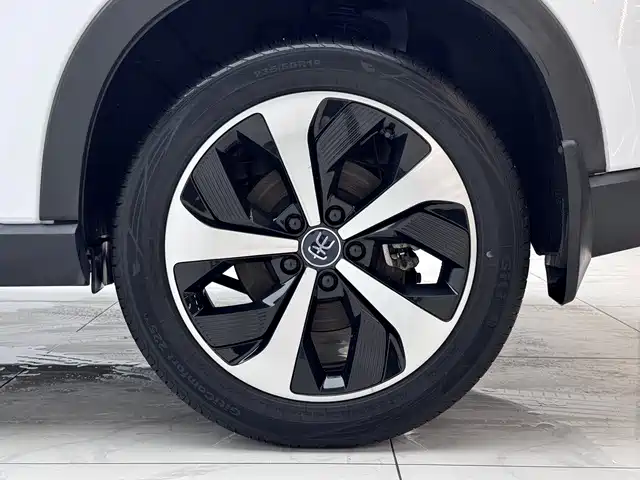 BYD PLUS New Energy 2022 — фото 12