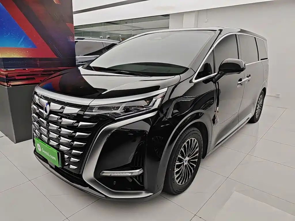 Denza D9 2023 — фото 2