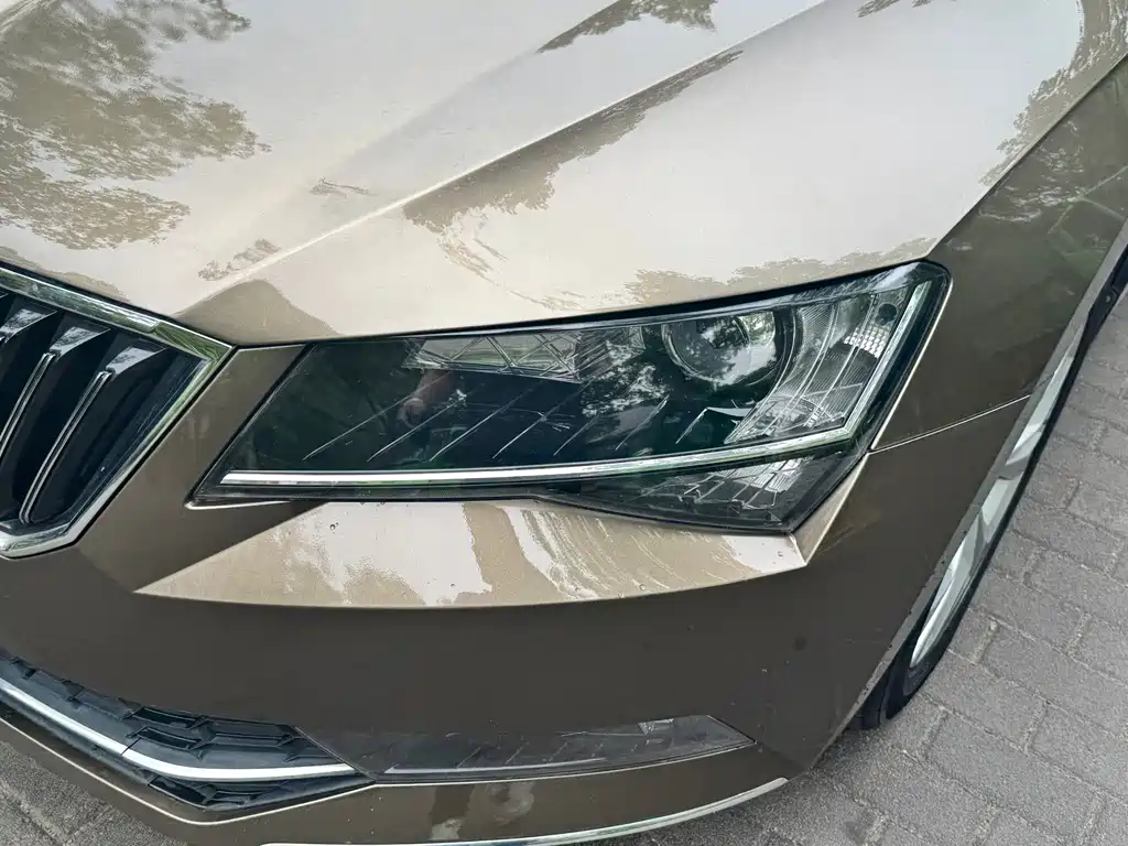 Skoda Speedy 2016