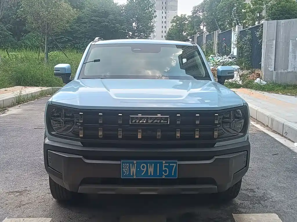 Haval Cool Dog 2022 — фото 2