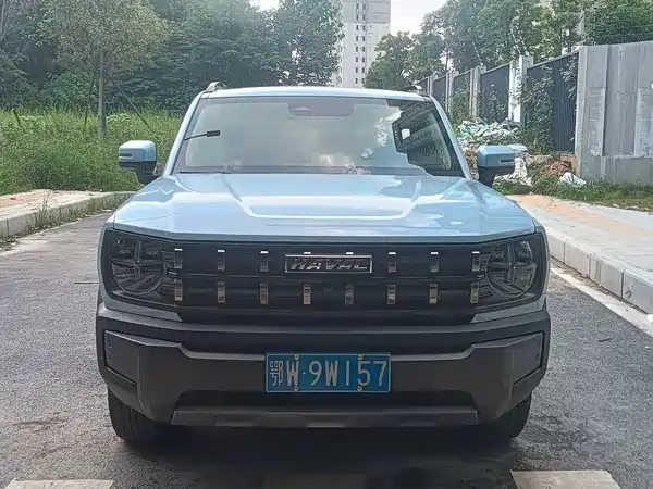 Haval Cool Dog 2022