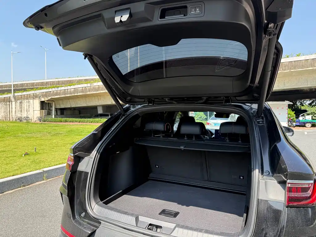 BYD Song PLUS New Energy 2022 — фото 19