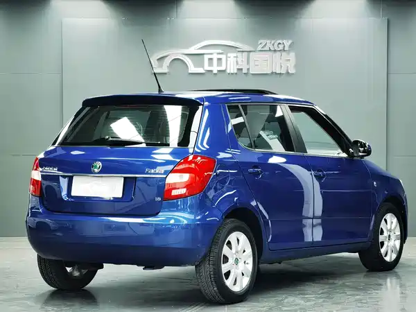 Skoda TECHART 2010