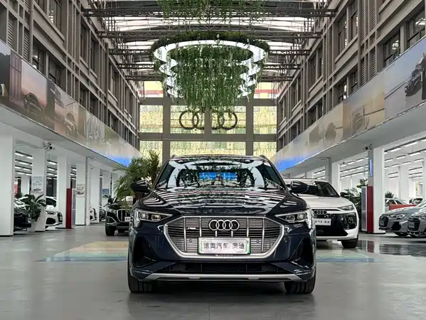 Audi e-tron 2021