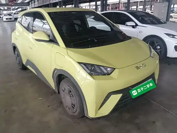 BYD Seagull 2024
