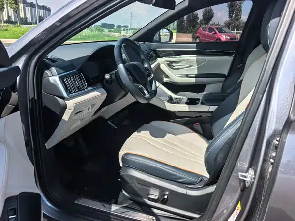 BYD Song PLUS New Energy 2024