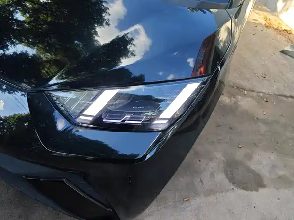 BYD Seagull 2024