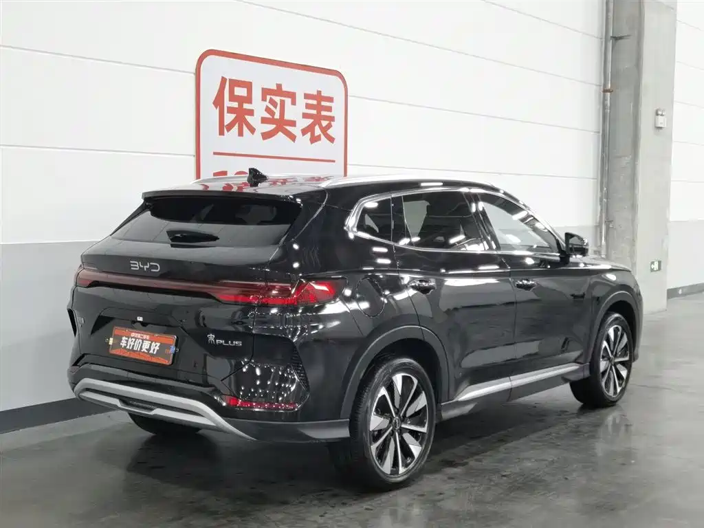 BYD PLUS New Energy 2025 — фото 2
