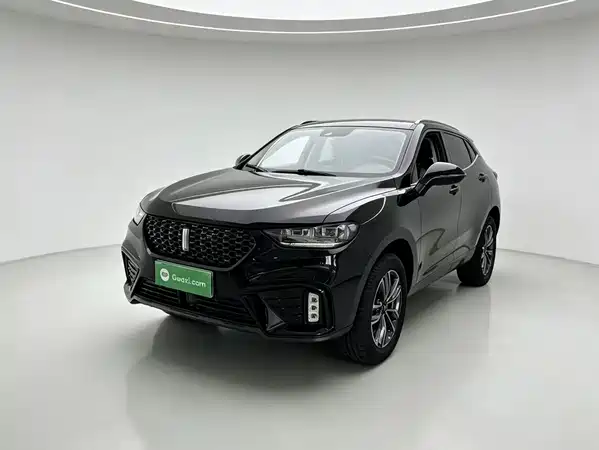Wey VV5 2020