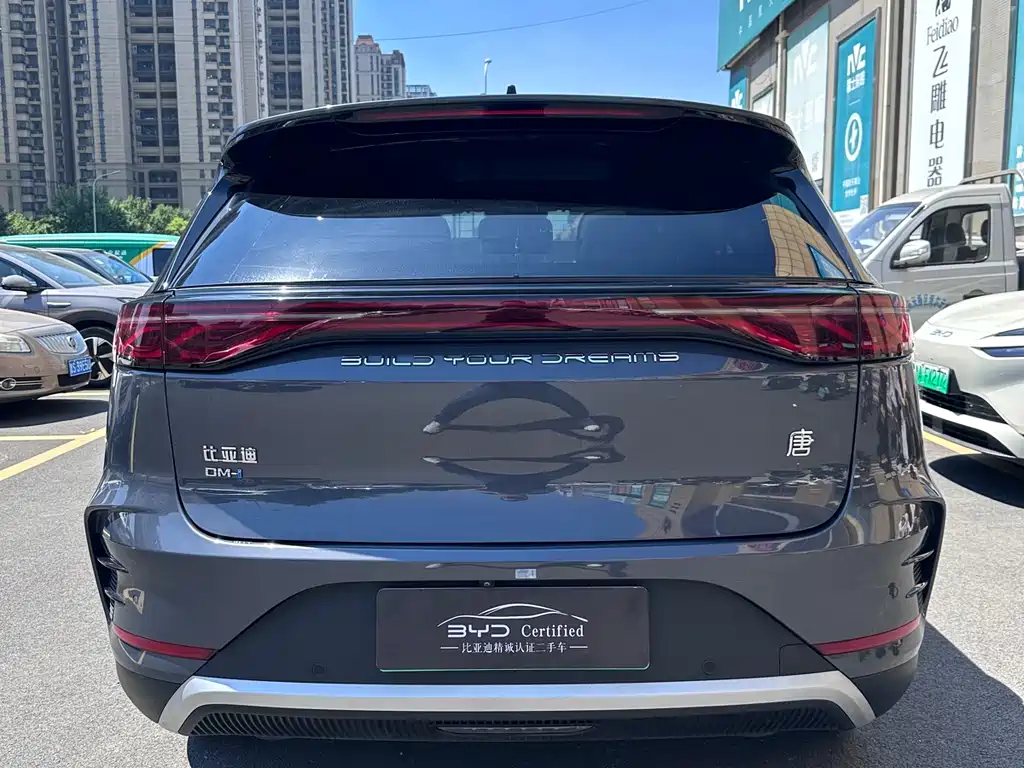 BYD Tang New Energy 2024 — фото 9