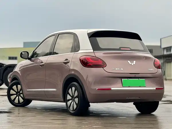 Wuling Bingo 2024