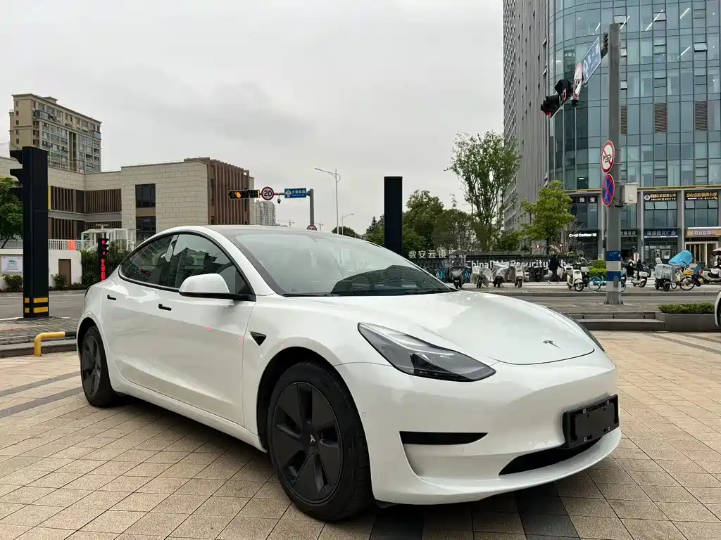 Tesla Model 3 2021 — фото 1