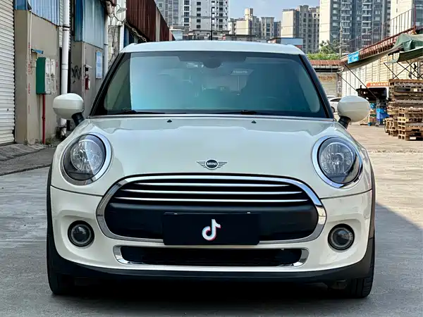 MINI MINI 2021
