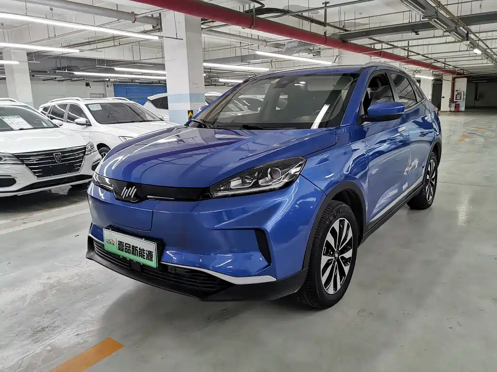 WM Motor EX5 2019