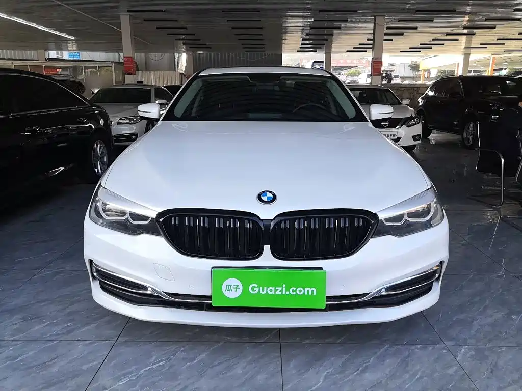 BMW 5 Series 2019 — фото 19
