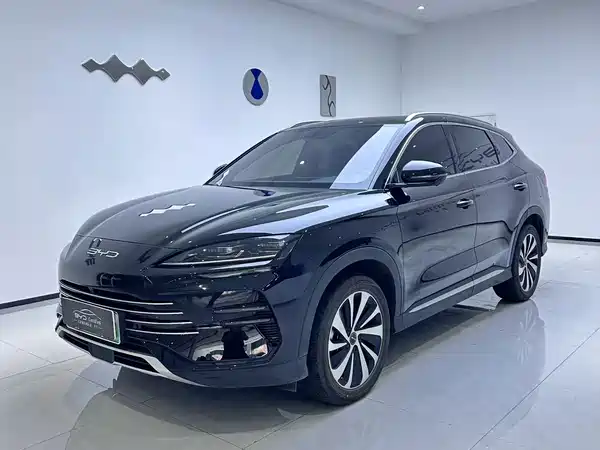 BYD Song PLUS New Energy 2024