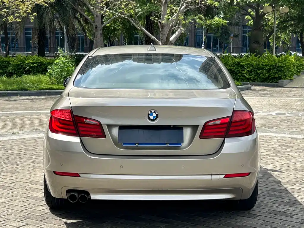 BMW 5 Series 2010