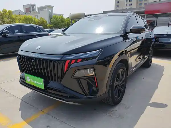 Dongfeng Haoji 2024